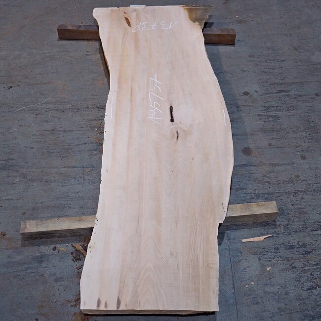 Birne ungedämpft, ca. 1950 x 570 x 35 mm, 13738 G
