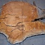Sapeli Mahagoni, Tischplatte, ca. 2150 x 1850 x 65 mm, 13713