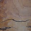 Sapeli Mahagoni, Tischplatte, ca. 2150 x 1850 x 65 mm, 13713