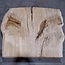 Eiche, ca. 1100 x 1140 x 60 mm, 13740 G
