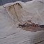 Oak, approx. 1100 x 1140 x 60 mm, 13740 G