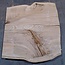 Eiche, ca. 1090 x 1050 x 60 mm, 13742 G