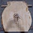 Oak, approx. 1050 x 870 x 45 mm, 13745 G
