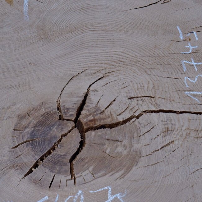 Oak, approx. 1050 x 870 x 45 mm, 13745 G