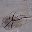 Eiche, ca. 1050 x 870 x 45 mm, 13745 G