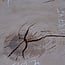 Oak, approx. 1050 x 870 x 45 mm, 13745 G