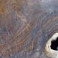 Caucasian Walnut slab, approx. 1150 x 1060 x 50 mm, 13747 G