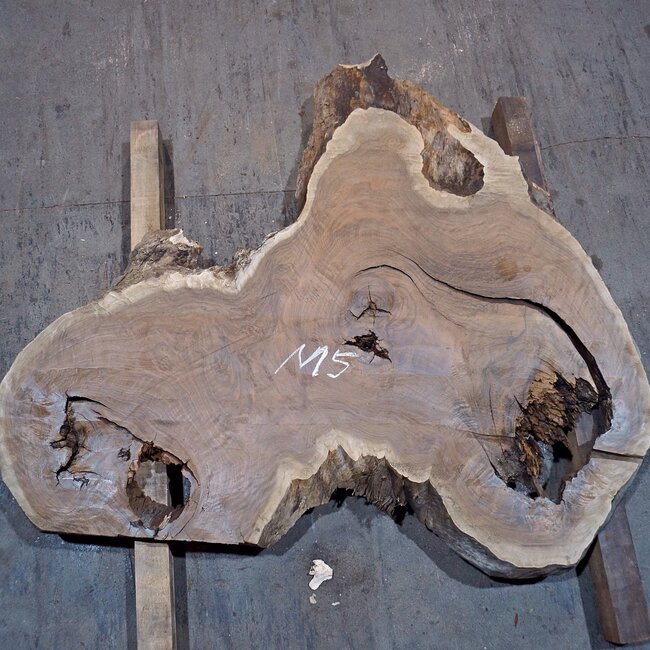 Kaukasischer Nussbaum, Baumscheibe, ca. 1150 x 1060 x 50 mm, 13747 G
