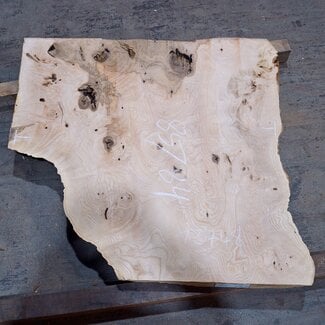 Ash burl, approx. 850 x 840 x 52 mm, 13748 G