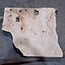 Ash burl, approx. 850 x 840 x 52 mm, 13748 G