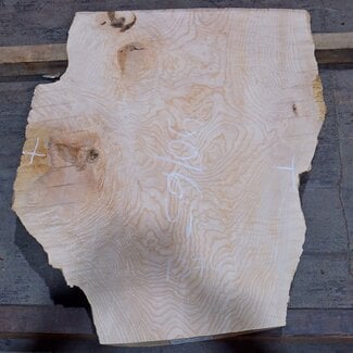 Esche Maser, ca. 900 x 650 x 52 mm, 13749 G