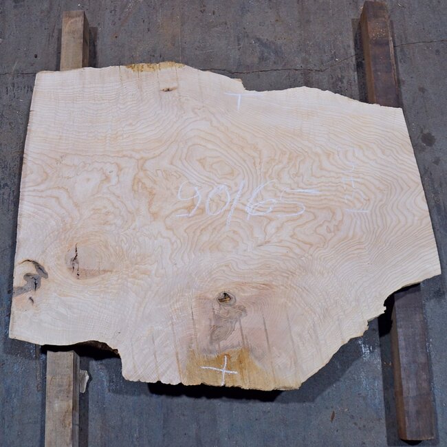 Ash burl, approx. 900 x 650 x 52 mm, 13749 G