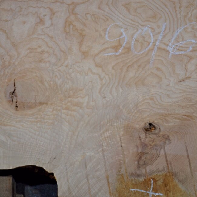 Ash burl, approx. 900 x 650 x 52 mm, 13749 G