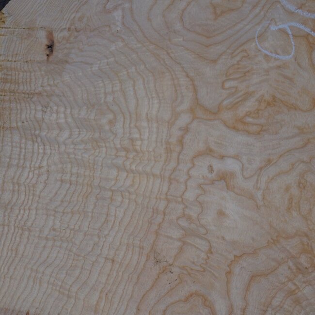 Esche Maser, ca. 900 x 650 x 52 mm, 13749 G