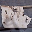 Ash burl, approx. 750 x 650 x 52 mm, 13750 G