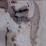 Ash burl, approx. 750 x 650 x 52 mm, 13750 G