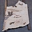 Ash burl, approx. 750 x 650 x 52 mm, 13750 G