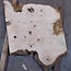Ash burl, approx. 750 x 650 x 52 mm, 13750 G