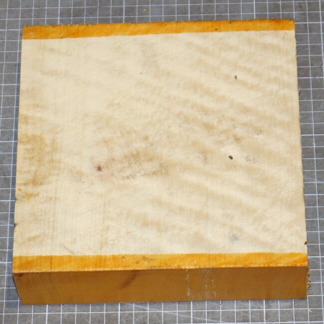 Hainbuche Riegel, ca. 195 x 195 x 50mm, 1,6kg