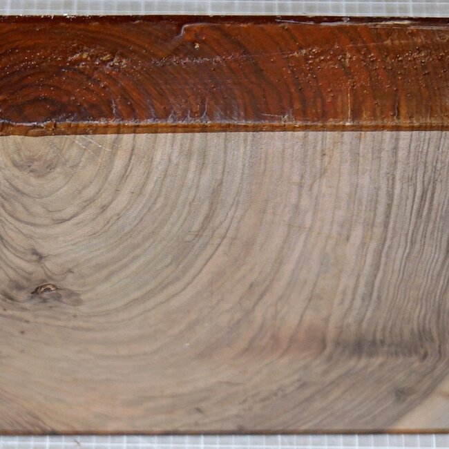 Caucasian Walnut , approx.  375 x 375 x 60mm, 6,1kg