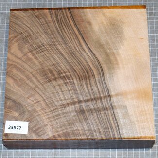 Nussbaum kaukasisch, ca. 250 x 250 x 57mm, 2,8kg