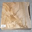Nussbaum kaukasisch, ca. 245 x 245 x 50mm, 1,9kg