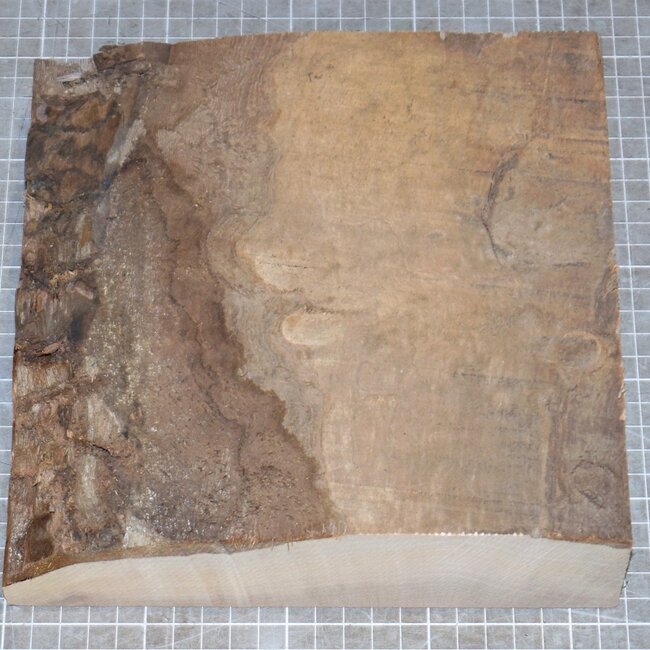 Nussbaum Riegel, kaukasisch, ca. 210 x 210 x 55mm, 1,2kg