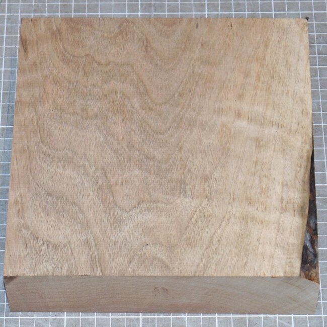 Caucasian Walnut Ripple, approx. 200 x 200 x 54mm, 1,3kg