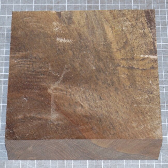 Nussbaum kaukasisch, ca. 200 x 200 x 61mm, 1,3kg