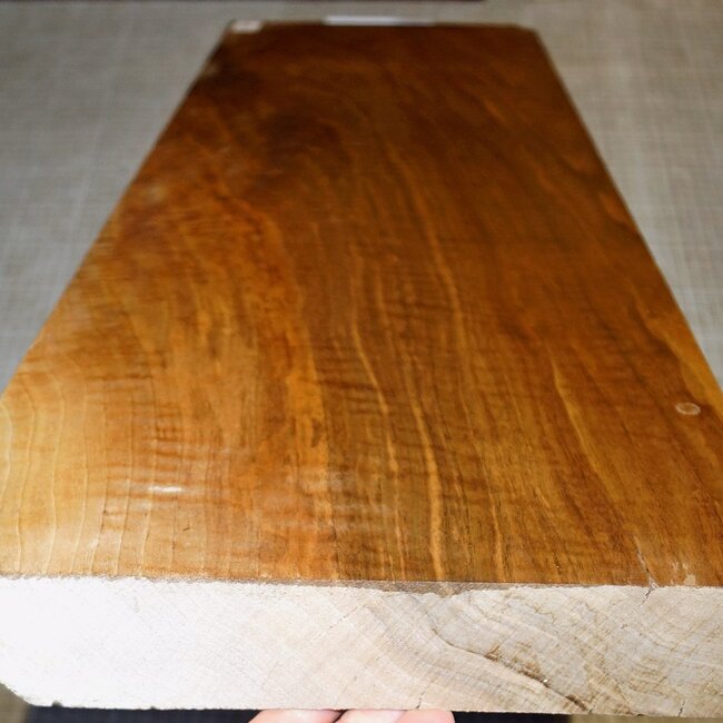 Nussbaum Riegel, kaukasisch, ca. 850 x 275 x 52-56mm, 7,9kg