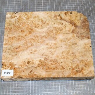 Esche Maser, ca. 300 x 250 x 51mm, 1,6kg