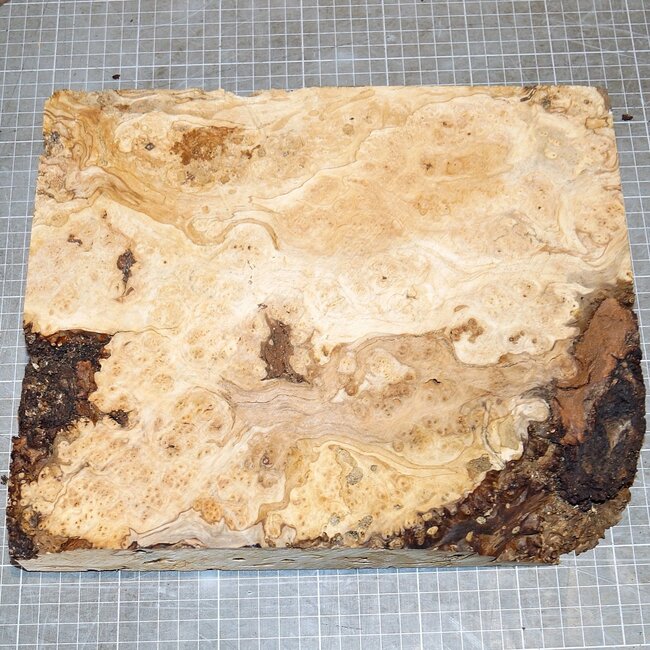 Esche Maser, ca. 300 x 250 x 51mm, 1,6kg