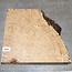Esche Maser, ca. 300 x 285 x 60mm, 3,4kg