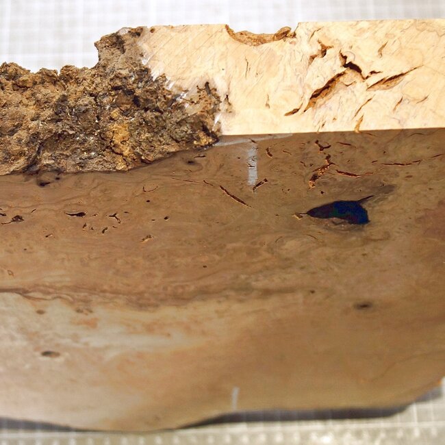 Esche Maser, ca. 285 x 260 x 46mm, 2,0kg
