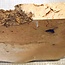 Ash, burl, approx. 285 x 260 x 46mm, 2,0kg