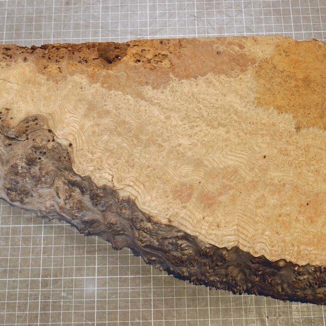Esche Maser, ca. 340 x 210 x 57mm, 2,5kg
