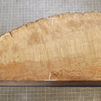 Esche Maser, ca. 400 x 170 x 55mm, 2,7kg