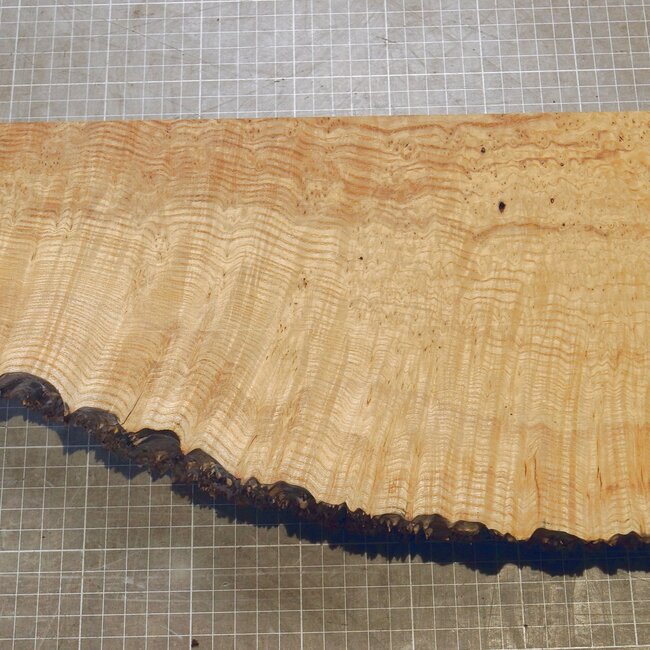 Ash, burl, approx. 400 x 170 x 55mm, 2,7kg
