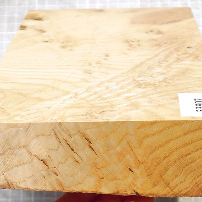 Esche Maser, ca. 260 x 145 x 51mm, 1,3kg