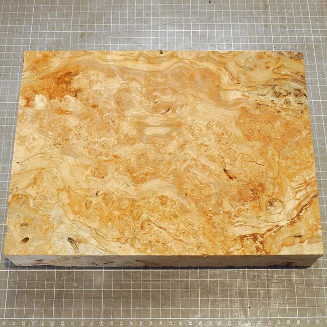 Esche Maser, ca. 310 x 230 x 51mm, 1,5kg