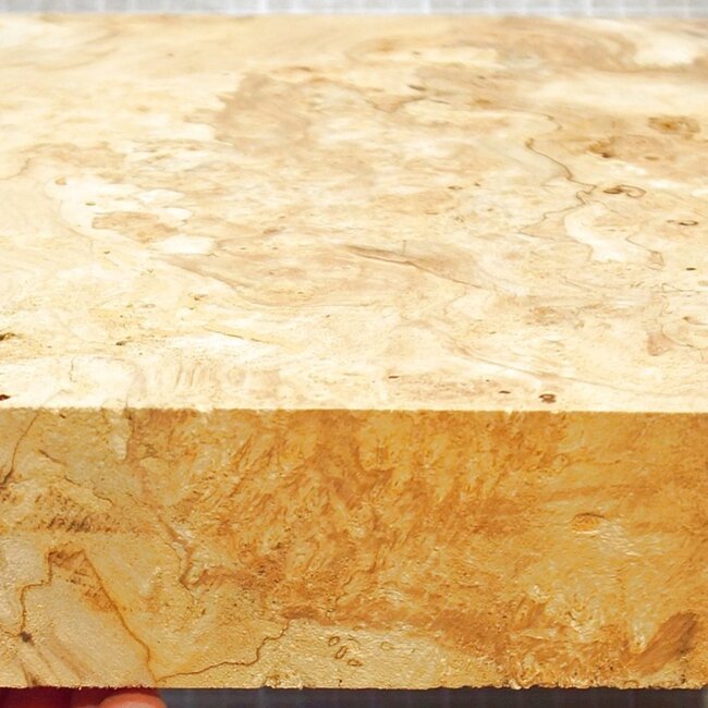 Esche Maser, ca. 310 x 230 x 51mm, 1,5kg