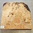 Esche Maser, ca. 320 x 320 x 51mm, 2,9kg