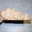 Goldfield Burl knot, approx. 190 x 170 x 60mm, 1,8kg