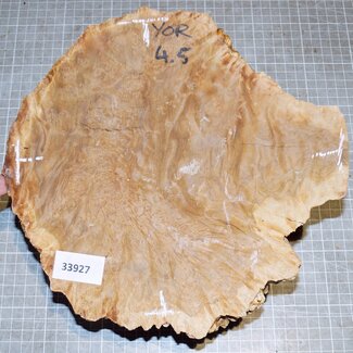 Goldfield Burl knot, approx. 250 x 230 x 80mm, 3,3kg