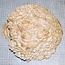 Goldfield Burl knot, approx. 250 x 230 x 80mm, 3,3kg