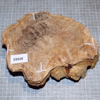 Goldfield Maser Knolle, ca. 195 x 160 x 70mm, 1,8kg
