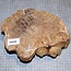 Goldfield Maser Knolle, ca. 195 x 160 x 70mm, 1,8kg