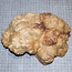 Goldfield Burl knot, approx. 195 x 160 x 70mm, 1,8kg