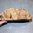 Goldfield Maser Knolle, ca. 195 x 160 x 70mm, 1,8kg
