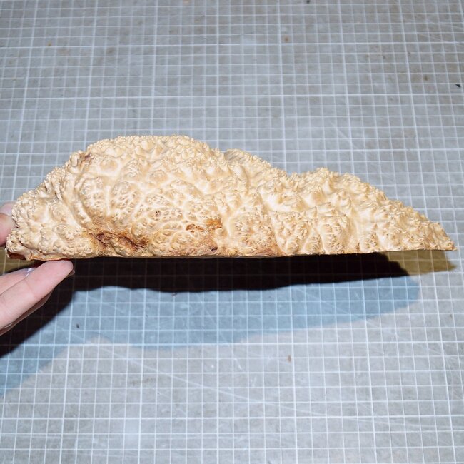 Goldfield Maser Knolle, ca. 230 x 135 x 50mm, 1,3kg